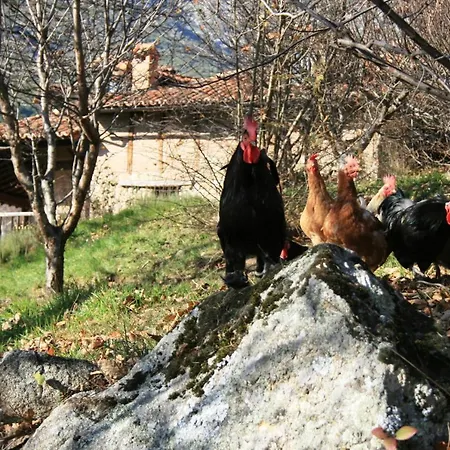 Rural Abejaruco Landhaus