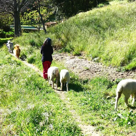 Летний дом Rural Abejaruco