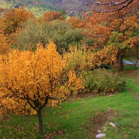 Rural Abejaruco Country house *
