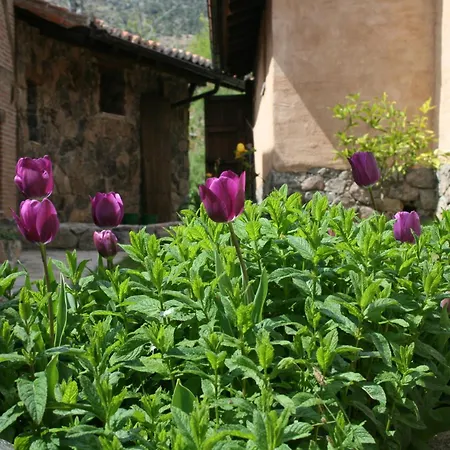 Rural Abejaruco