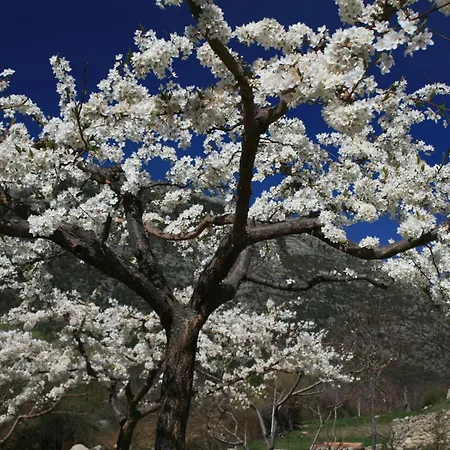 Landsted Rural Abejaruco *