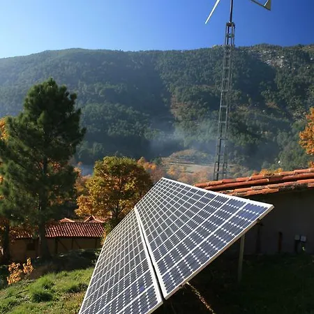 Rural Abejaruco *