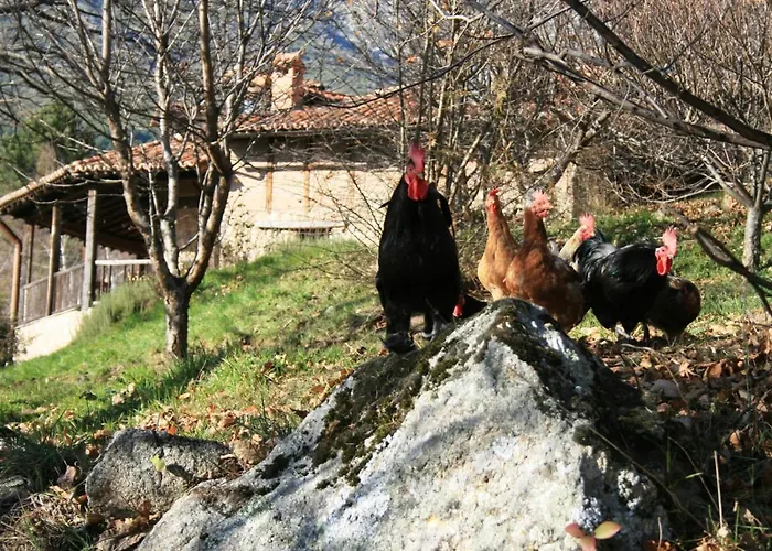 Rural Abejaruco Séjour à la campagne