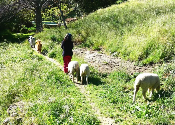 Casa rural Rural Abejaruco