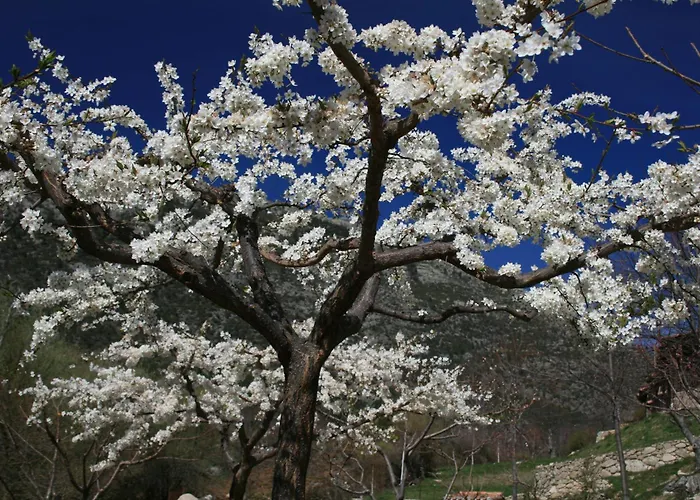 Séjour à la campagne Rural Abejaruco *